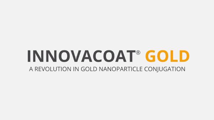 Innova InnovaCoat Gold Video Storyboard 08